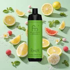 RandM Fumot Shisha 10000 Puffs 18ml Prérempli Citron Menthe