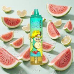 RandM Fumot Tornado 15000 Puffs Rechargeable Type-C Pastèque Glacée