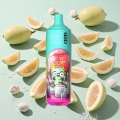 RandM Tornado 9000 Bouffées Rechargeable 850 mAh Guava Glacé