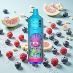 RandM Tornado 9000 Bouffées Rechargeable Myrtille Framboise