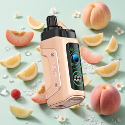 Razz Bar 45000 Bouffées Rechargeable Type-C Pêche Juteuse Glace