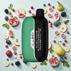 IGET Moon 5000 Puffs PC Mûre Grenade Poire Neige